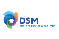 DSM