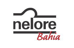 Nelore Bahia