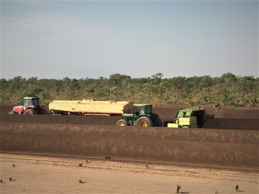 Aplicação de adubo orgânico em área agrícola