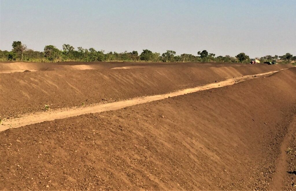Adubo orgânico a granel aplicado no campo