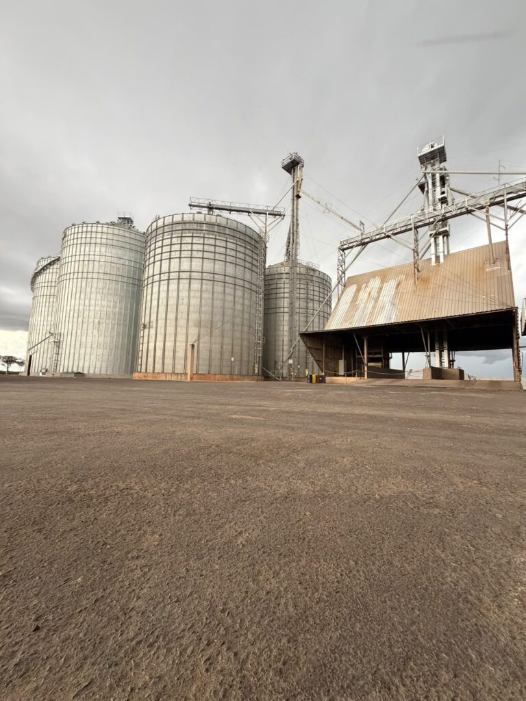 Silos e moega da fábrica de ração da Captar