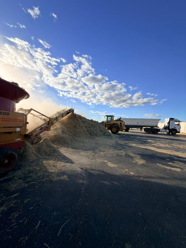 Preparo da ração para o trato do confinamento