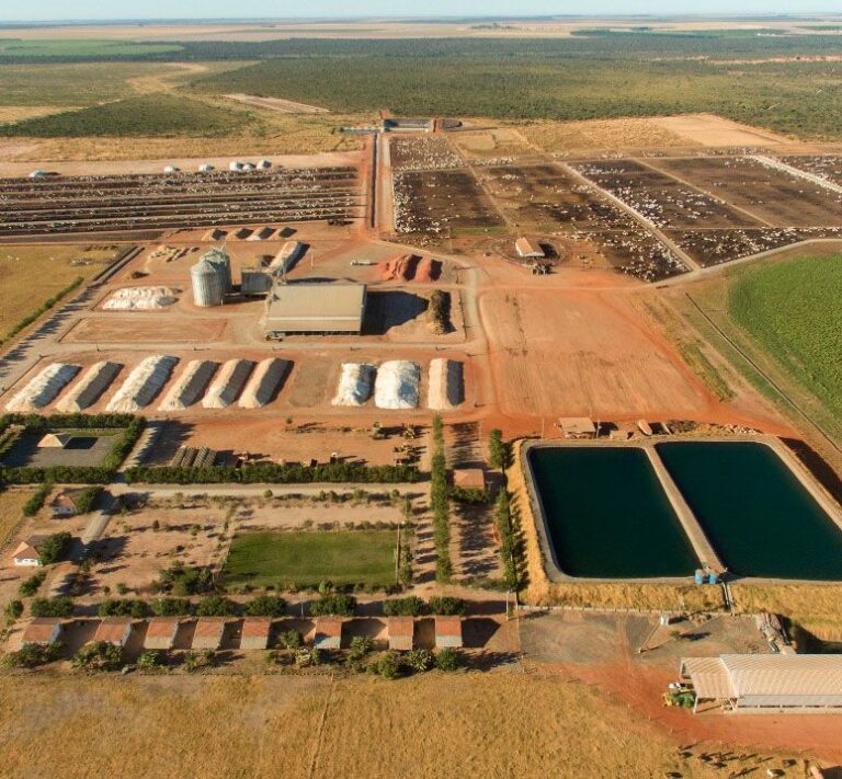 Vista aérea da estrutura do confinamento Captar
