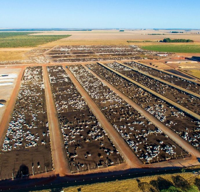 Vista aérea do confinamento da Captar no oeste baiano